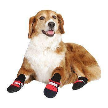 Botas para Animais de Estimação - Proteja seu Melhor Amigo, não Importa a Estação do Ano! - Selecto Store España