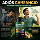 Sea Moss Extra Strength 19,445mg Energía, Inmunidad y Enfoque Mental 120 Cápsulas - Selecto Store España