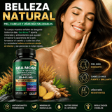 Sea Moss Extra Strength 19,445mg Energía, Inmunidad y Enfoque Mental 120 Cápsulas - Selecto Store España
