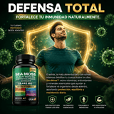 Sea Moss Extra Strength 19,445mg Energía, Inmunidad y Enfoque Mental 120 Cápsulas - Selecto Store España