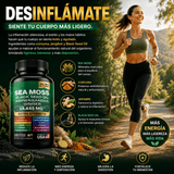 Sea Moss Extra Strength 19,445mg Energía, Inmunidad y Enfoque Mental 120 Cápsulas - Selecto Store España