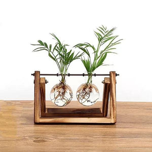 Vasos de Bulbos de Vidro com Soporte de Madera - Selecto Store España