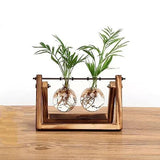 Vasos de Bulbos de Vidro com Soporte de Madera - Selecto Store España